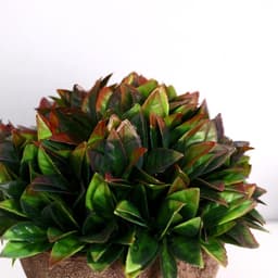 Искусственный цветок в горшке «Густые листики», 13×11 см, МИКС