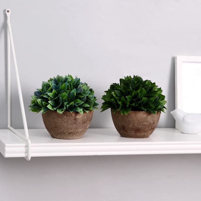 Искусственный цветок в горшке «Густые листики», 13×11 см, МИКС