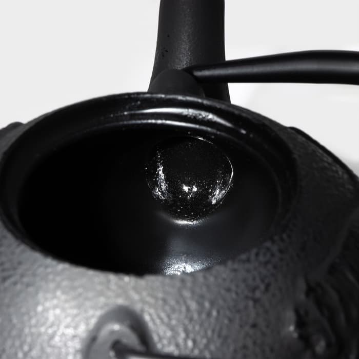 Чайник Доляна «Чёрный тигр», 700 мл, с ситом, эмалированное покрытие внутри, индукция, чугун, чёрный