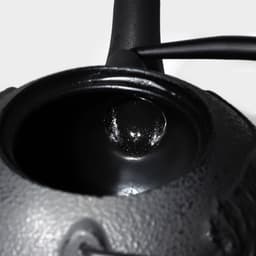 Чайник Доляна «Чёрный тигр», 700 мл, с ситом, эмалированное покрытие внутри, индукция, чугун, чёрный