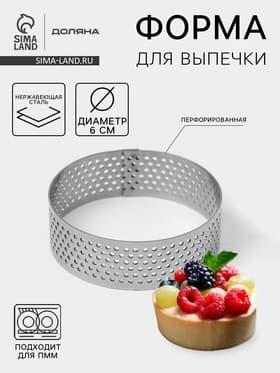 Форма для выпечки тарта Доляна «Круг», d=6 см, перфорированная, серебристая