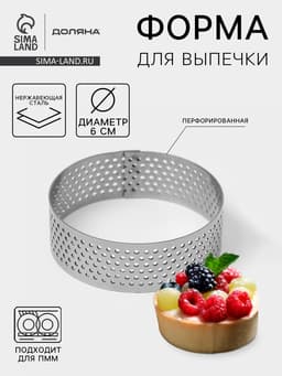 Форма для выпечки тарта Доляна «Круг», d=6 см, перфорированная, серебристая