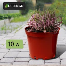 Горшок для рассады, 10 л, d=29 см, h=22.5 см, терракот, Greengo
