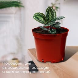 Горшок для рассады, 10 л, d=29 см, h=22.5 см, терракот, Greengo
