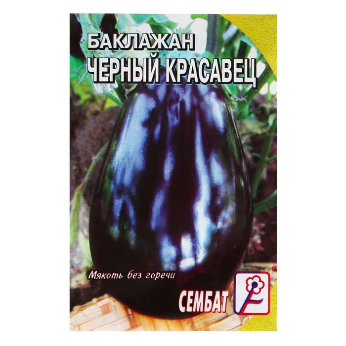 Семена Баклажан «Чёрный Красавец», 0.5 г, «Сембат»