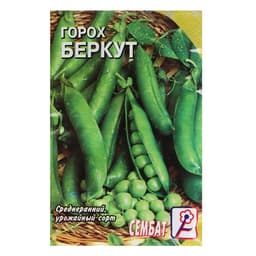 Семена Горох «Беркут», 10 г, среднеранний, «Сембат»