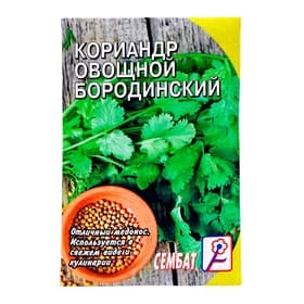 Семена Кориандр овощной «Бородинский», 5 г, «Сембат»