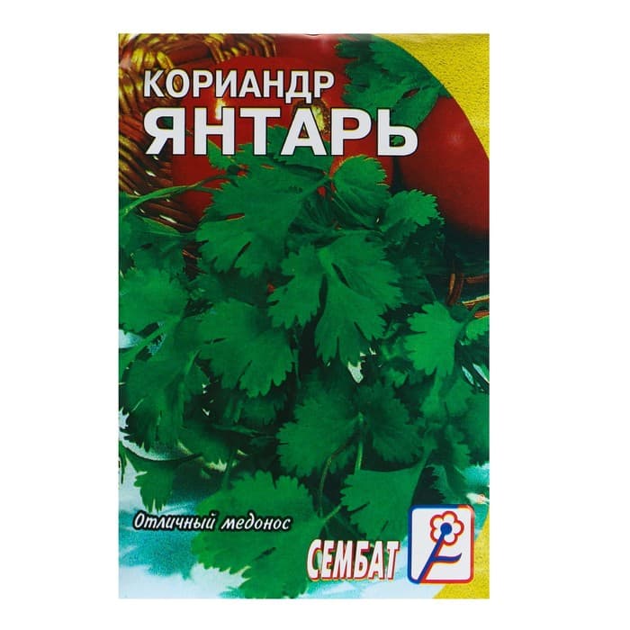 Семена Кориандр «Янтарь», 5 г, «Сембат»