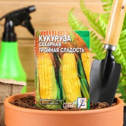 Семена Кукуруза сахарная «Тройная сладость», 5 г, «Сембат»