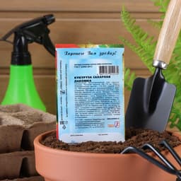 Семена Кукуруза сахарная «Лакомка», 5 г, «Сембат»