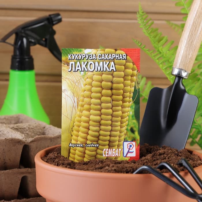 Семена Кукуруза сахарная «Лакомка», 5 г, «Сембат»
