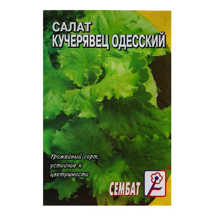 Семена Салат «Кучерявец одесский», 1 г, «Сембат»