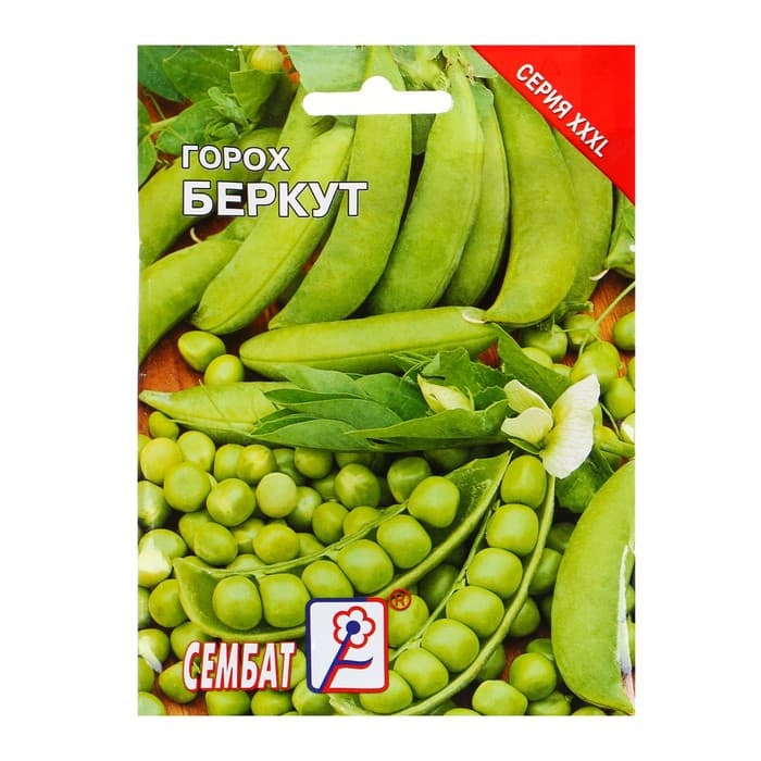 Семена Горох «Беркут», XXXL, «Сембат», 25 г