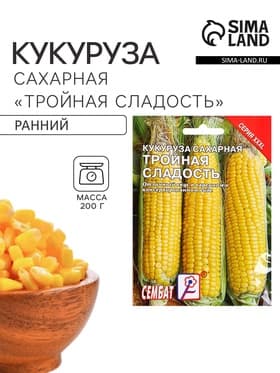 Семена Кукуруза сахарная «Тройная Сладость», XXXL, «Сембат», 25 г