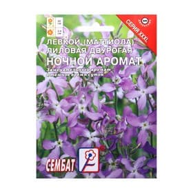 Семена цветов Маттиола «Ночной аромат», XXXL, «Сембат», 4 г