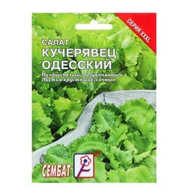 Семена Салат «Кучерявец одесский», XXXL, 10 г, «Сембат»