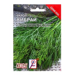 Семена Укроп «Кибрай», XXXL, «Сембат», 20 г
