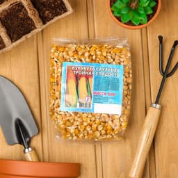 Семена Кукуруза сахарная «Тройная сладость», 500 г, «Сембат»