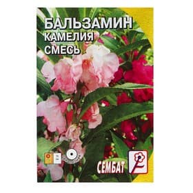 Семена цветов Бальзамин «Камелия», смесь, однолетник, 0.2 г «Сембат»