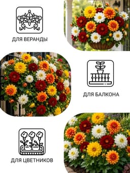 Семена цветов Георгина «Веселые ребята», однолетник, 0.1 г, «Сембат»