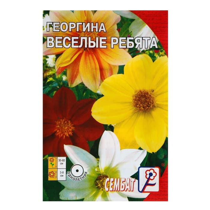Семена цветов Георгина «Веселые ребята», однолетник, 0.1 г, «Сембат»