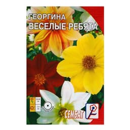 Семена цветов Георгина «Веселые ребята», однолетник, 0.1 г, «Сембат»