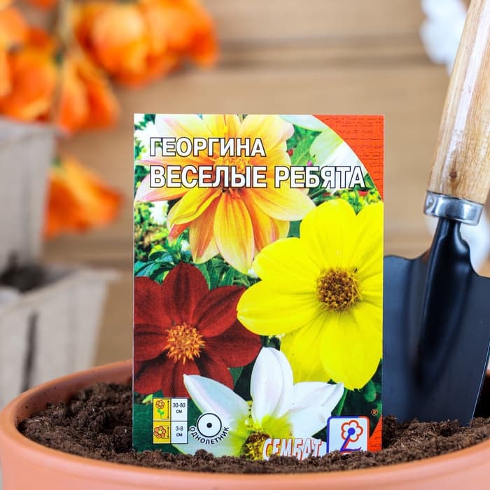 Семена цветов Георгина «Веселые ребята», однолетник, 0.1 г, «Сембат»