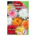 Семена цветов Георгина «Кактусовидная», смесь, однолетник, 0.1 г, «Сембат»