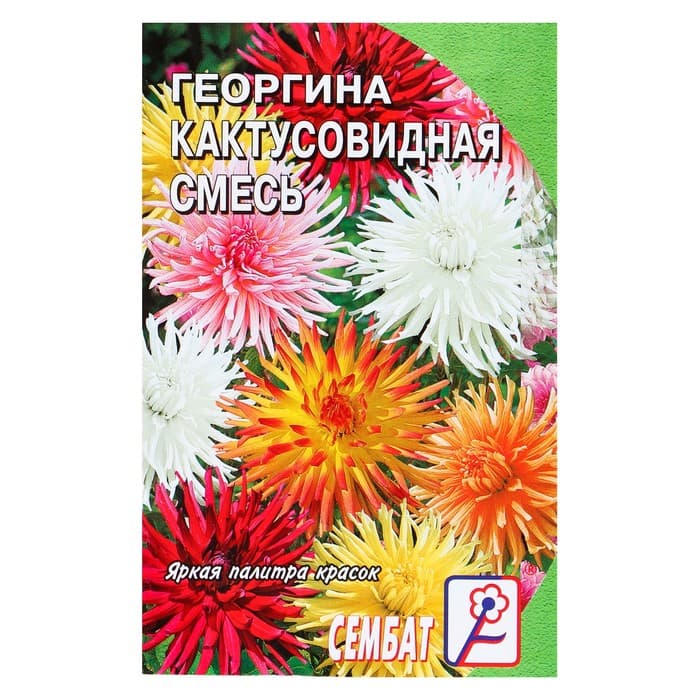 Семена цветов Георгина «Кактусовидная», смесь, однолетник, 0.1 г, «Сембат»