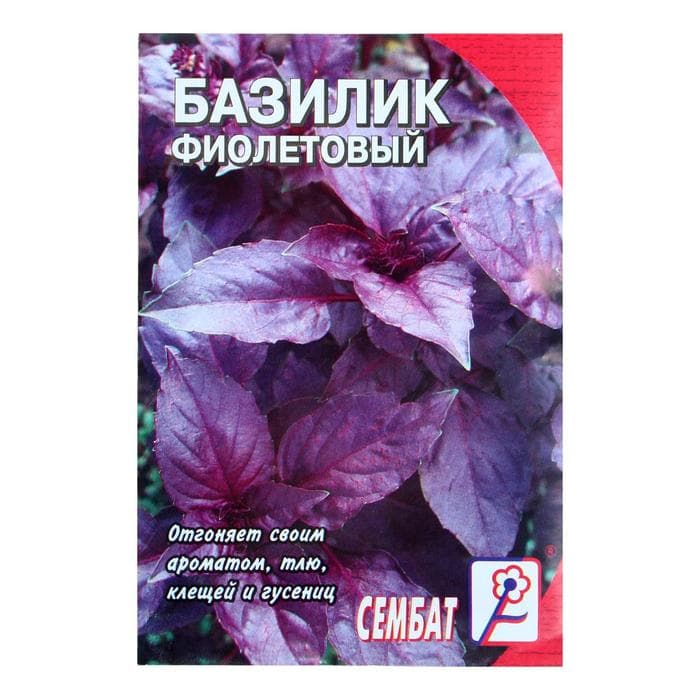 Семена Базилик фиолетовый «Ереванский», 0.2 г, «Сембат»