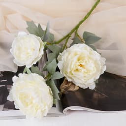 Цветы искусственные «Пион Лунная река», 12×85 см, белые