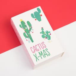 Носки женские новогодние «Кактусы», набор 2 пары, размер 36-40 (23-25 см)