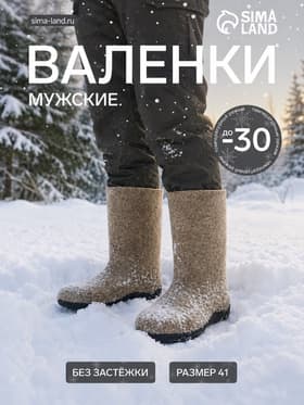Валенки мужские, цвет натуральный, размер 41 (29)