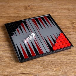 Нарды магнитные, поле 20×20 см, в коробке