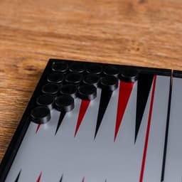 Нарды магнитные, поле 20×20 см, в коробке