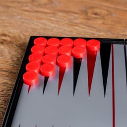 Нарды магнитные, поле 20×20 см, в коробке