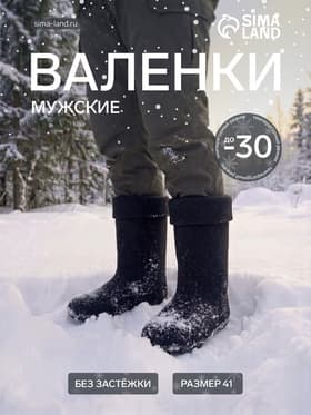 Валенки мужские, размер 41 (29), чёрные