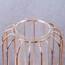 Ваза - флорариум «Ангстрем», колба в подставке, 9×20 см, стекло, прозрачная, золотистая