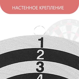 Набор для дартса, мишень d=40.5 см, 6 дротиков