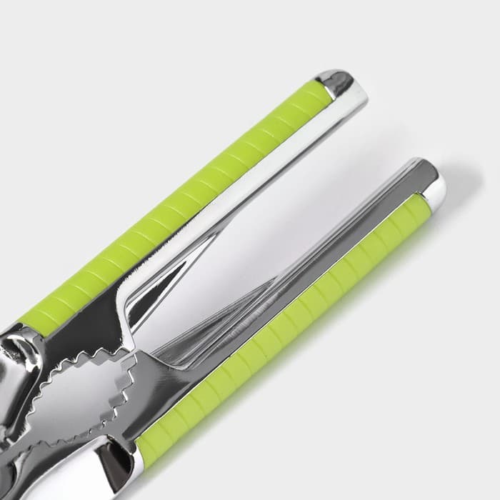 Пресс для чеснока Доляна «Велес», 16.5 см, салатовый