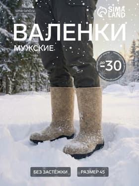 Валенки мужские, цвет натуральный, размер 45 (32)