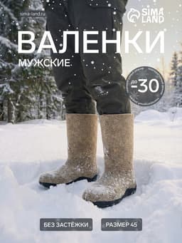 Валенки мужские, цвет натуральный, размер 45 (32)