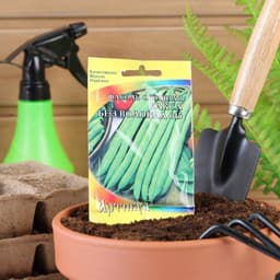 Семена Фасоль овощная «Сакса без волокна 615», раннеспелая, 5 г, «Артикул»