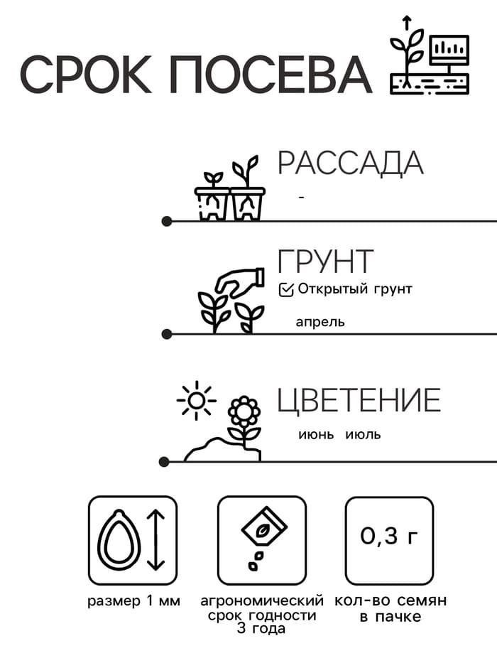 Семена цветов Маттиола двурогая "Ночная Фиалка", О, 0,3 г