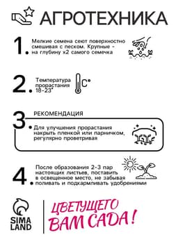 Семена цветов Маттиола двурогая "Ночная Фиалка", О, 0,3 г