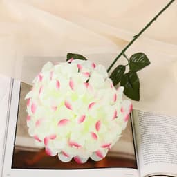 Цветы искусственные «Герань королевская», 16×60 см, жёлто-розовые