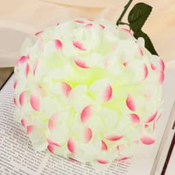 Цветы искусственные «Герань королевская», 16×60 см, жёлто-розовые