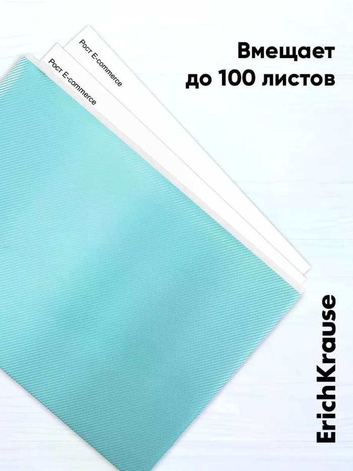 Папка-конверт на ZIP-молнии А4, 180 мкм, ErichKrause Fizzy Pastel, микс, до 100 листов