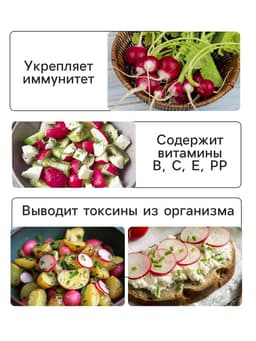 Семена Редис «Черешневый сад», 2 г, Premium seeds