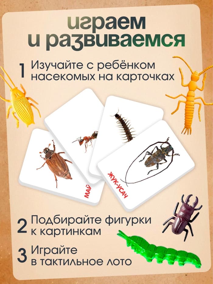Развивающий набор с карточками «Мир насекомых», по методике Домана